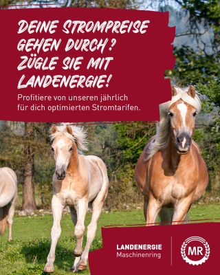 Strom LandEnergie