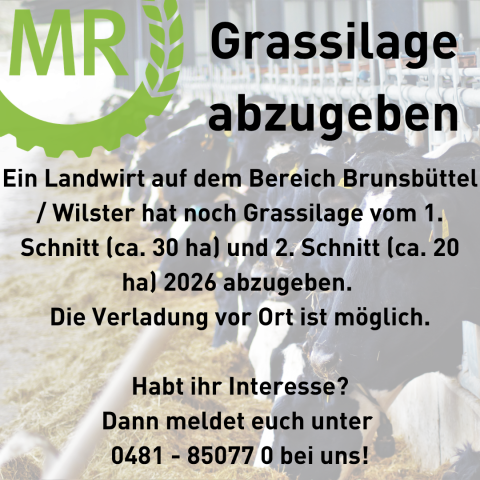 Grassilage Brunsbüttel